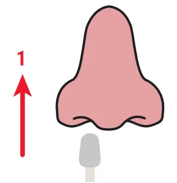 labcorp COVID-19 + Flu Test Home Collection Kit - Insert the tip