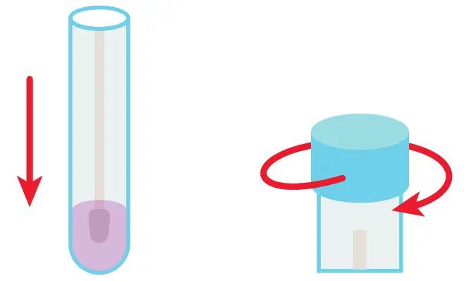 labcorp COVID-19 + Flu Test Home Collection Kit - second nostril