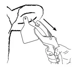 Z TAGS DATAMARS C33766 Feedlot Tags FIG-4