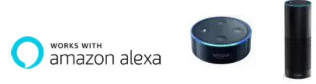 Dongguan Maijia Intelligent Technology US-SD-KN01 Smart- Switch to Alexa