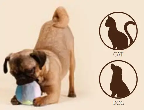 HAMILPET Bluetooth Smart Jumping Ball