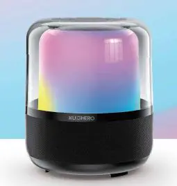 Dongguan Jin Wen Hua Digital Technology L16 Beat Driven Light Show 50W Bluetooth Speaker pro