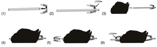 KLARSTEIN 10012291 VitAir Hot Air Fryer - Chicken fork