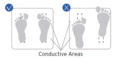 RENPHO-ES-WBE28-Smart-Body-Composition-Scale-fig12