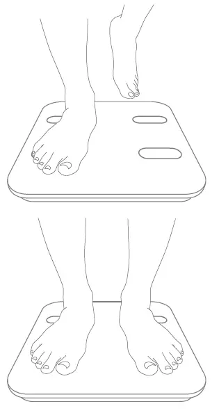 RENPHO-ES-WBE28-Smart-Body-Composition-Scale-fig3