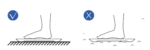 RENPHO-ES-WBE28-Smart-Body-Composition-Scale-fig4