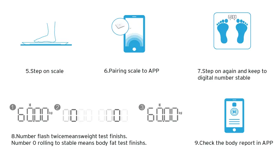 RENPHO-ES-WBE28-Smart-Body-Composition-Scale-fig6