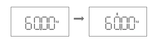 RENPHO-ES-WBE28-Smart-Body-Composition-Scale-fig7