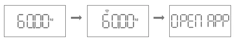 RENPHO-ES-WBE28-Smart-Body-Composition-Scale-fig8