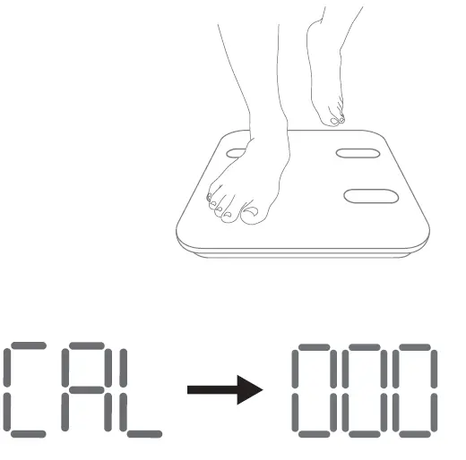 RENPHO-ES-WBE28-Smart-Body-Composition-Scale-fig9