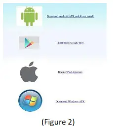 LOOKCAM H.264 1080P Remote Wireless Camera - fig