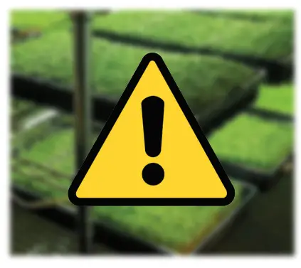 growers choice TSL 800 LED Grow Light - figure 4