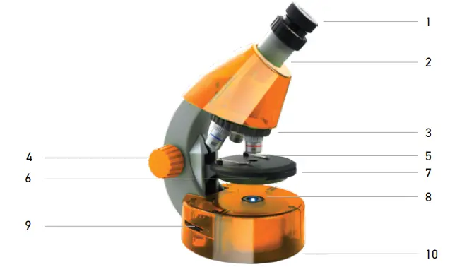 Microscope-Levenhuk-LABZZ-M101-FIG1