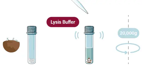 GALENVS magenti Soil DNA Extraction Kit 01
