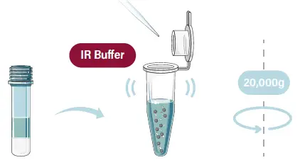 GALENVS magenti Soil DNA Extraction Kit 01