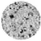 SPYKER S80 12010 120 lb Electric Spreader - Icon 4