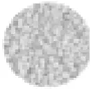 SPYKER S80 12010 120 lb Electric Spreader - Icon 5