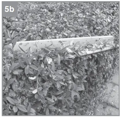 Assembly Instruction