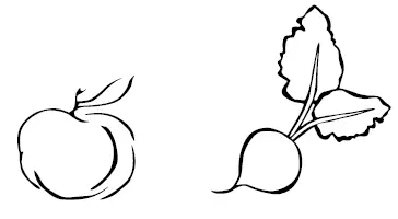 Whirlpool-5WS21NIJGS-Side-by-Side-Refrigerator-fig- (38)