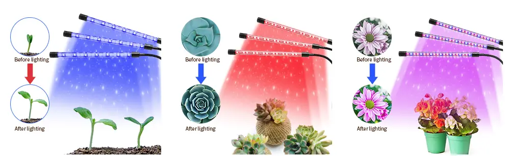 HOOMEDA-UE-103A-Grow-Light-for-Indoor-Plants-fig-7