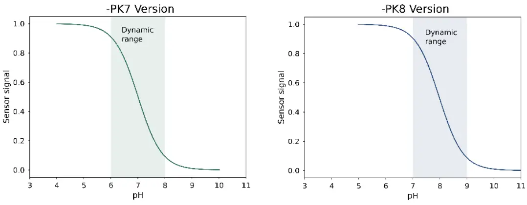 pyroscience Optical pH Sensors - Different pH Ranges