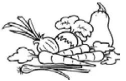 PROLINE-PLC253NFWH-Frost-Free-Fridge-Freezer-fig- (11)