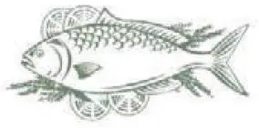 PROLINE-PLC253NFWH-Frost-Free-Fridge-Freezer-fig- (9)