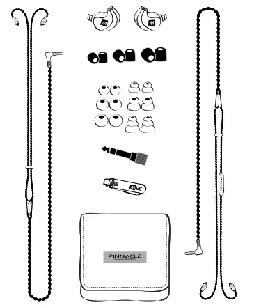 Pinnacle P1 High Fidelity Audiophile - Package Contents