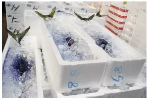 KIMO KT 120 Class 120 Kistock fig1