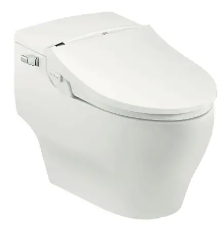 dib-Special-Edition-Bidet-Seat-image