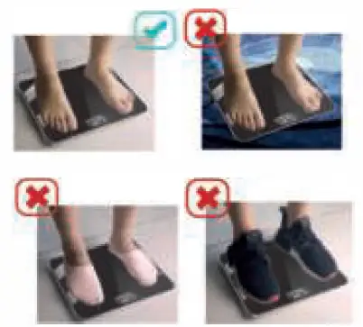 SILVERGEAR-108-Smart-Scale-with-Body-Analysis-App-2