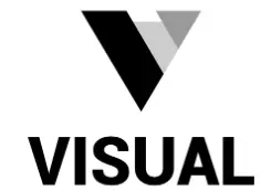 VISUAL logo