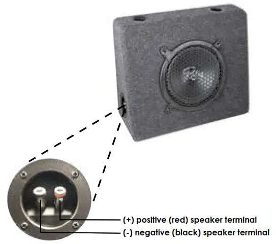 RetroSound R-TB8 Subwoofer Full Range Speaker Box - speaker terminal