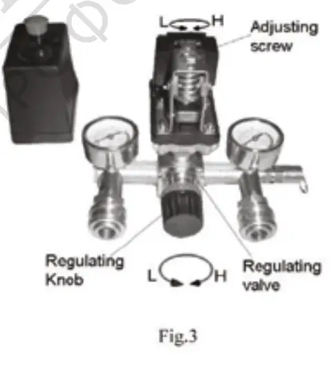 BISONTE SF020-025 Oil-Free Silent Air Compressor - fig 2