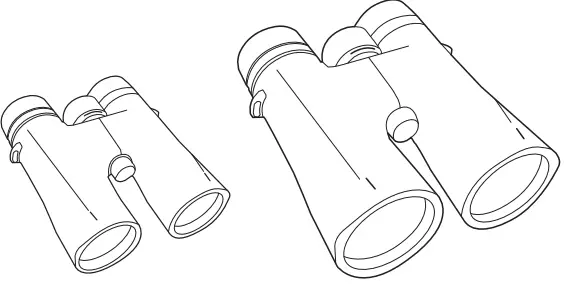 ALPEN-OPTICS-615-Optics-8x42-Apex-Waterproof-Binoculars-FIG-1