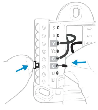 Honeywell T9 Smart Thermostat RCHT9510WFW2019 - Connect remaining wires from Step 8