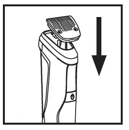 ViSAGE-AP210258-Grooming-Kit-fig-3