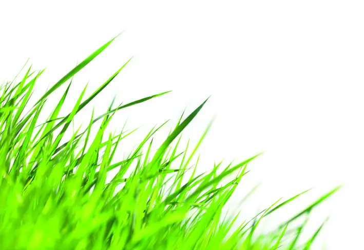 Outwell Mensa Mains 3 Way Roller Kit-fig1