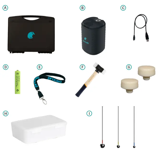 pundit PI8000 Pile Integrity Impact Echo-fig1