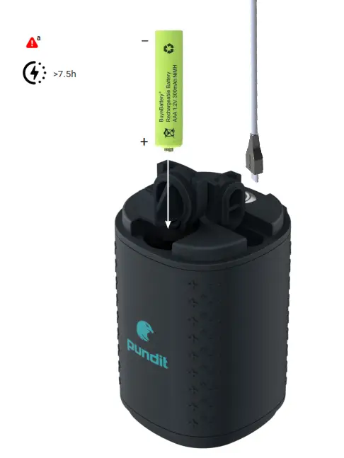 pundit PI8000 Pile Integrity Impact Echo-fig2