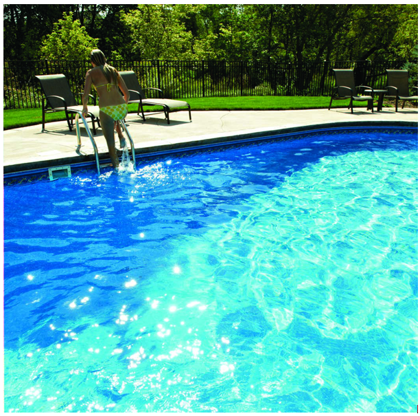 PENTAIR EC 160316 Clean and Clear Cartridge Filter