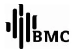 BMC LOGO