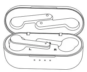 Roxcore Pins IE In-Ear Earbuds User Manual - Head phone in case