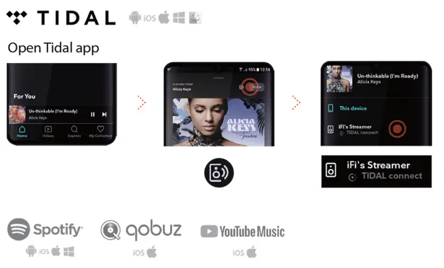 iFi Audio NEO Streamer and DAC - fig 12