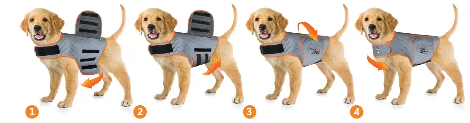 ThunderShirt-sport-Dog-Anxiety-solution-fig-2