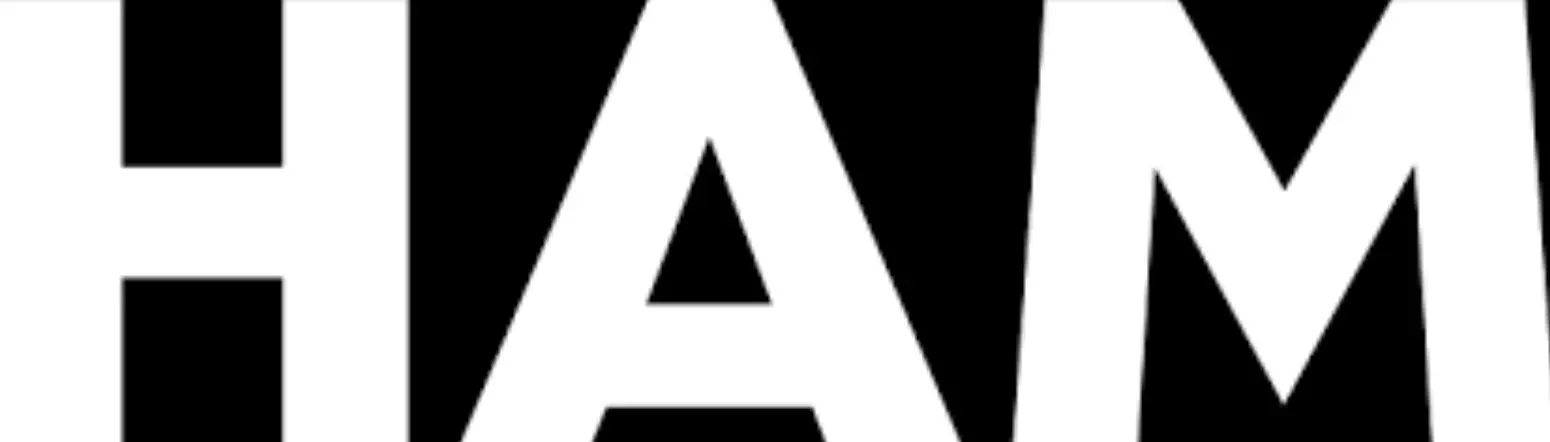 HAM DinMeter3P DIN Rail WiFi Switch and Energy LOGO