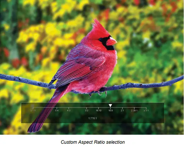 Marshall Electronics V LCD241MD 24 Inch Full Resolution 1920x1080 Rackmount Monitor - Figure 15