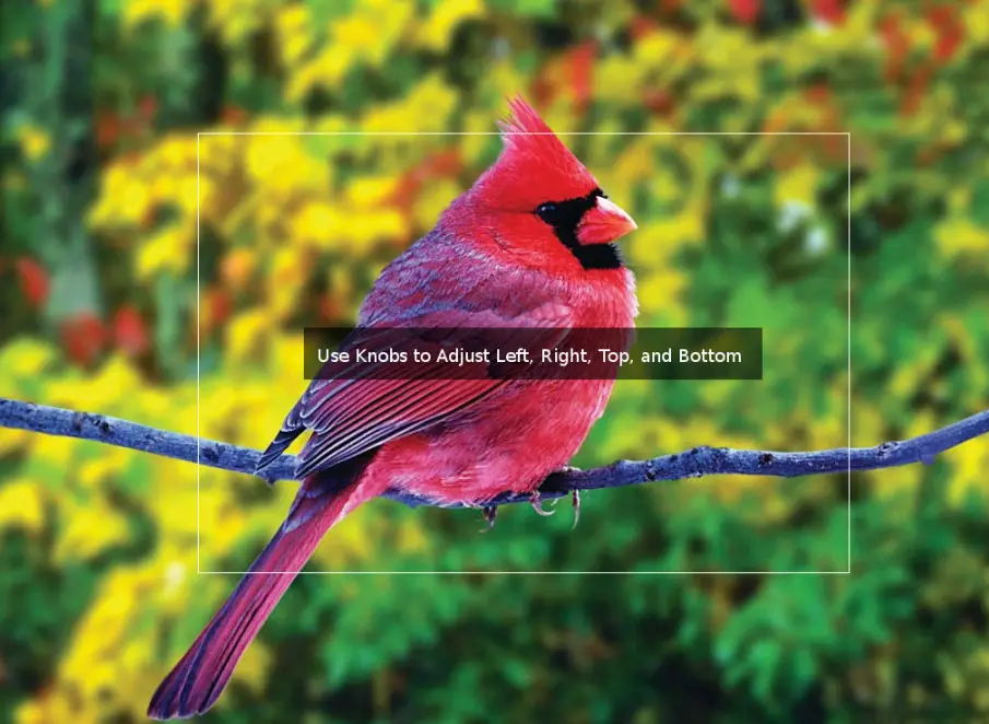 Marshall Electronics V LCD241MD 24 Inch Full Resolution 1920x1080 Rackmount Monitor - Figure 23