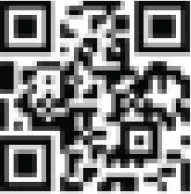 RW 201 Series Exterior Digital Onbaord L 02