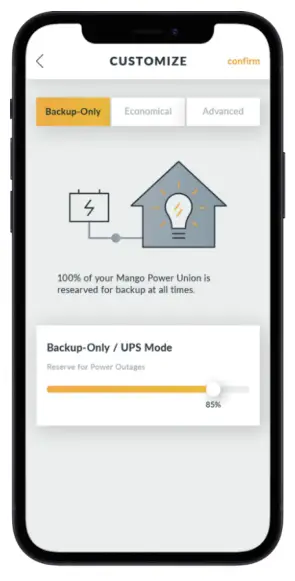 mango power Union-fig10